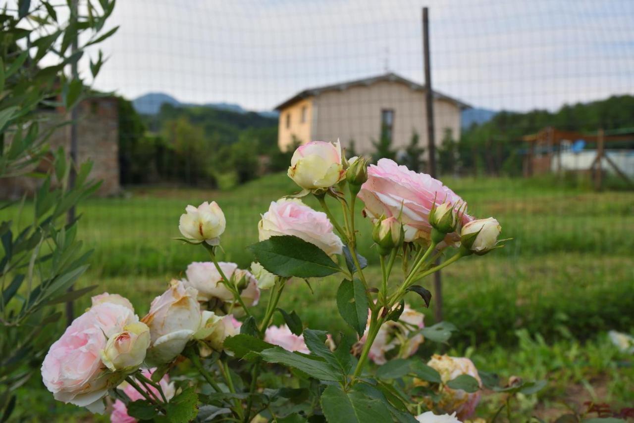 Il Fienile Di Margherita Vicchio Kültér fotó