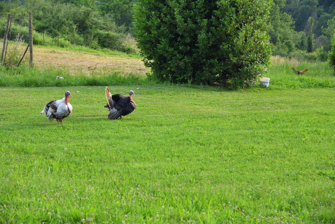Il Fienile Di Margherita Vicchio Kültér fotó